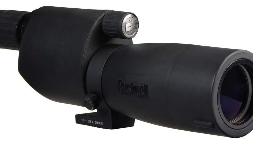 Bushnell Sentry 18-36x 50mm Scope Review
